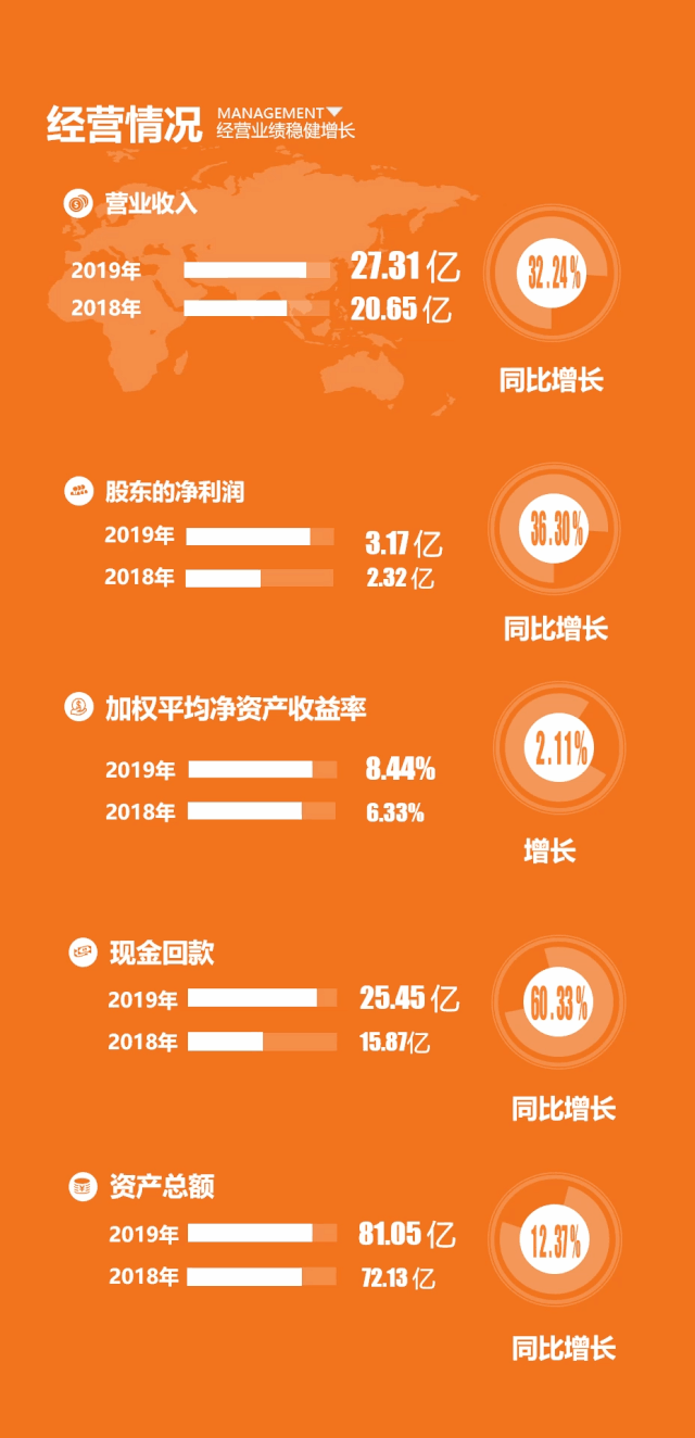 维尔利2019年报详情1